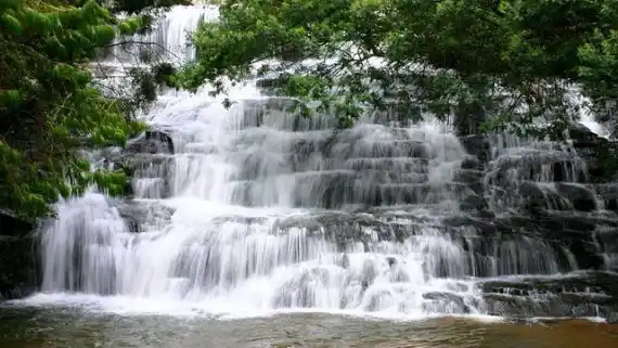 Kodaikanal Trekking Tour