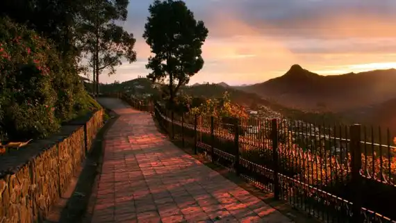 Kodaikanal One Day Tours